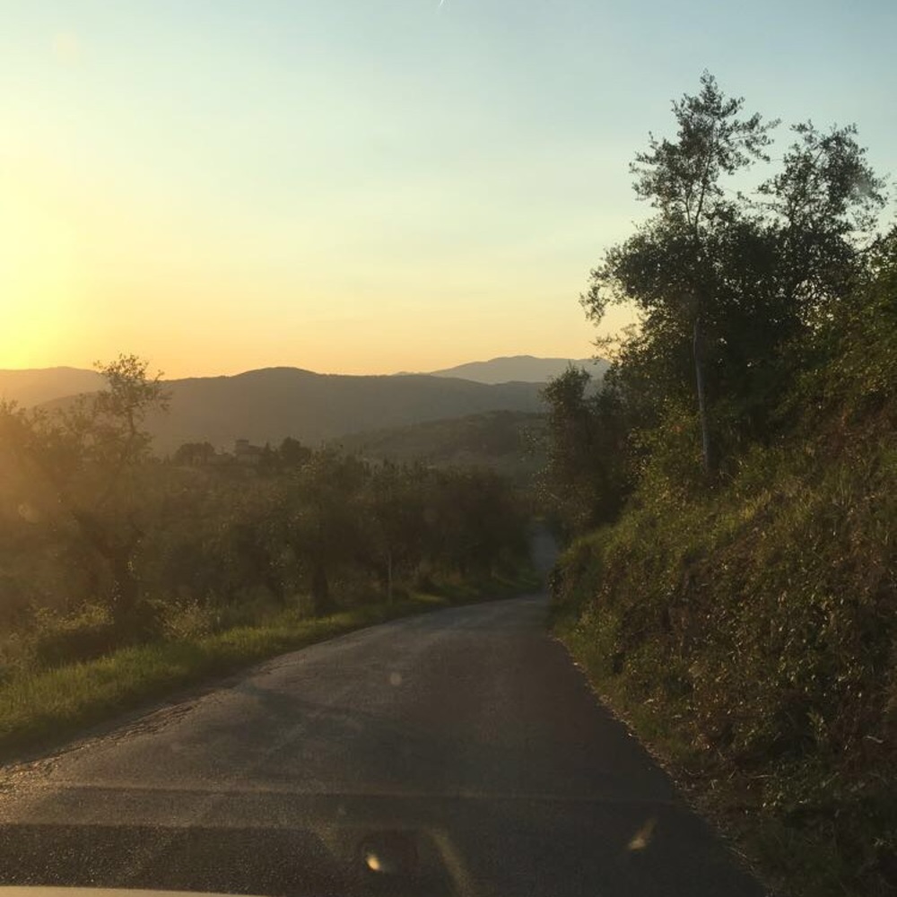 Meet your Posher, Annsley